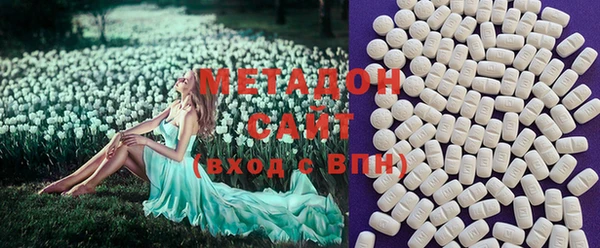 PSILOCYBIN Аркадак