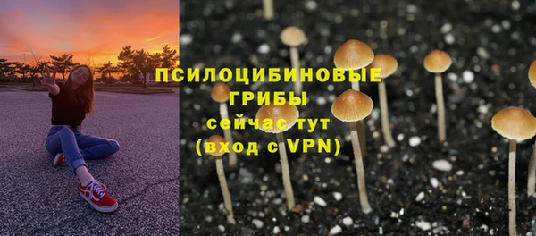 МДМА Арсеньев
